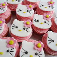 dort  HELLO KITTY