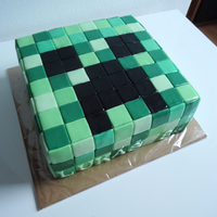 dort  MINECRAFT