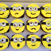 dort  CUPCAKES MIMONI