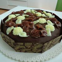 dort Sacher 
